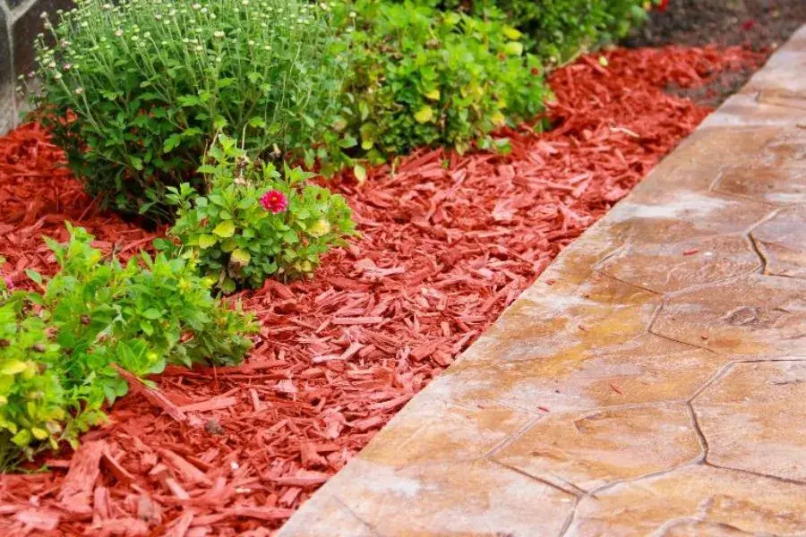 Red mulch decorated path side