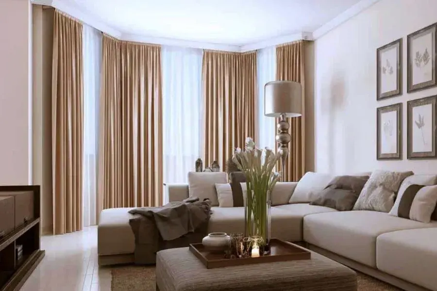 Luxury Living Room Light Color