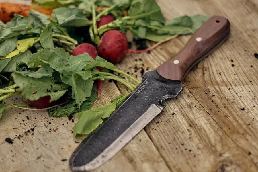 Hori-Hori knife and vegetables
